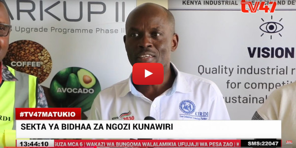 Video about training on skin development in leather products in Swahili