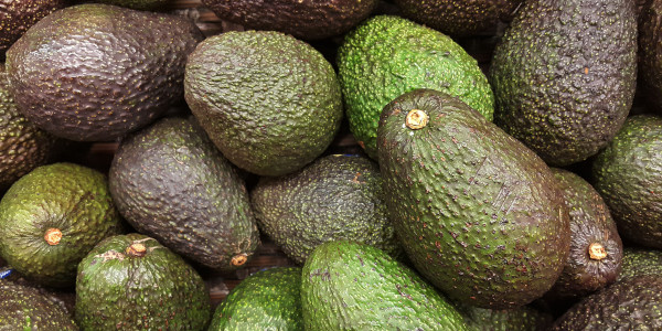 Avocadoes