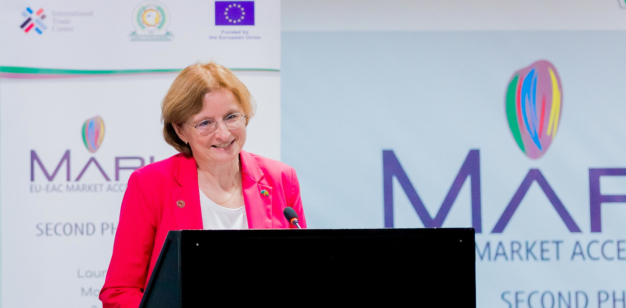 H.E. Christine GRAU - European Union Ambassador to Tanzania