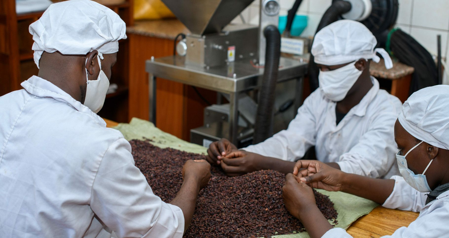  Quality process during cocoa bean sorting