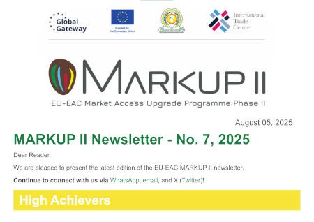 Markup II Newsletter 7 introduction
